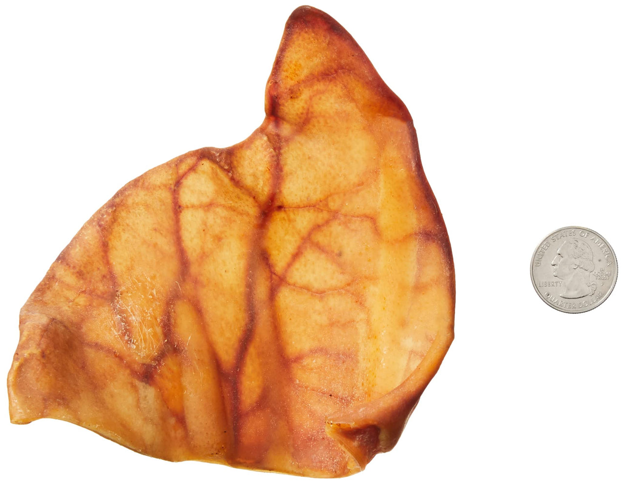 Wonder Bound Whole Pig Ears Dog Treats, Pork, 18 Count (Pack of 1) 12.7 Ounce (Pack of 1)