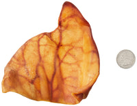 Wonder Bound Whole Pig Ears Dog Treats, Pork, 18 Count (Pack of 1) 12.7 Ounce (Pack of 1)