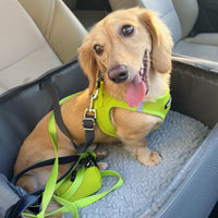 Voyager Step-in Air Dog Harness - All Weather Mesh Step in Vest Harness for Small and Medium Dogs and Cats by Best Pet Supplies - Harness (Lime Green), M (Chest: 16-18