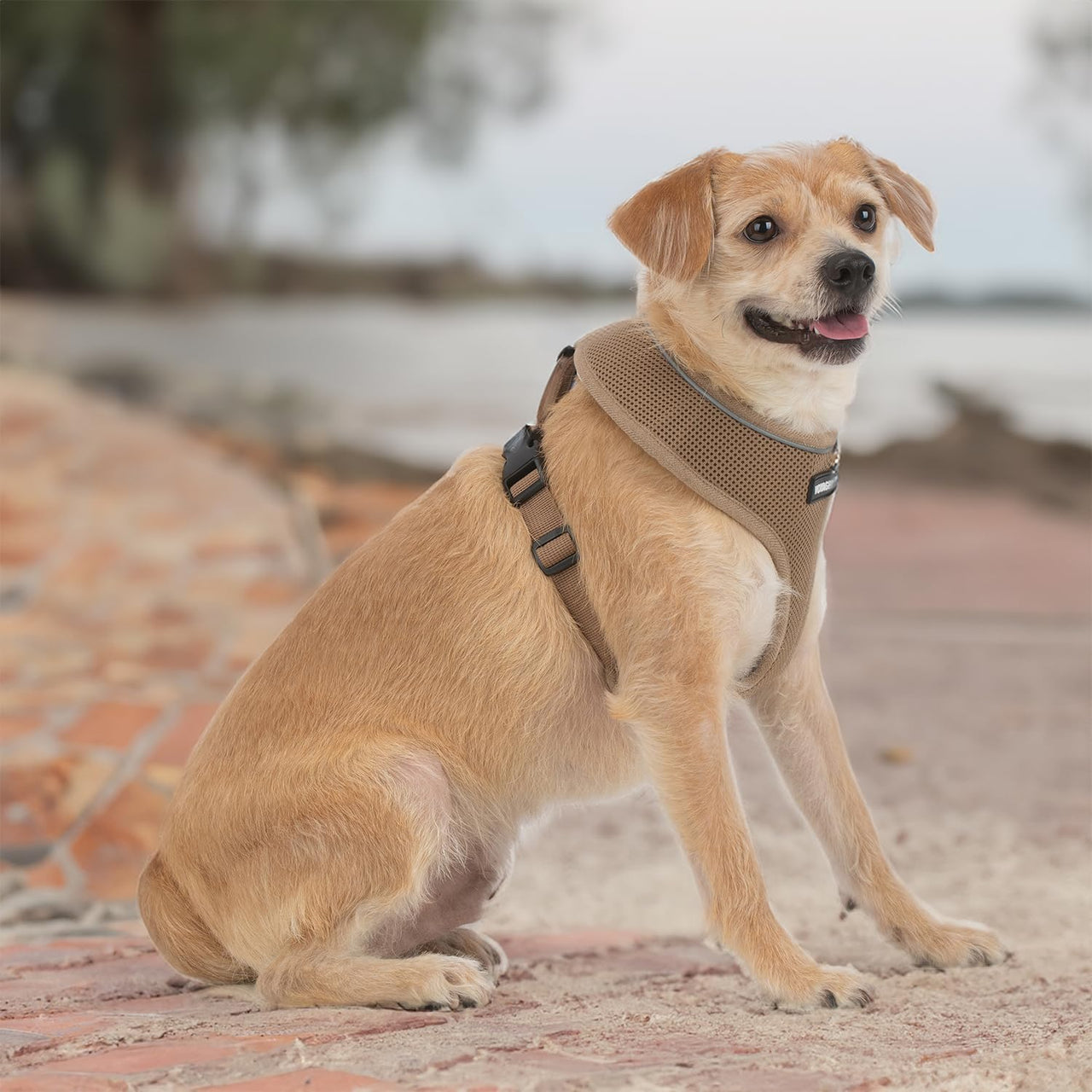 Aerolite No Pull Mesh Dog Harness with Lightweight, Soft, Breathable Chest Coverage, Reflective Stitching, and Adjustable Straps for Walking, Running, Training, Heavy Duty and Durable - Beige, S