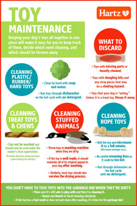 Hartz Chew 'n Clean Dental Duo Dog Treat & Chew Toy, Color Varies, Large, 3 Pack Large (Pack of 3) Orange, Green & Yellow