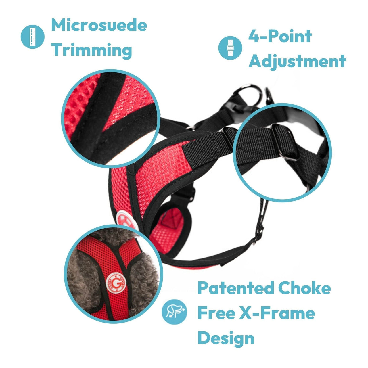 Gooby Comfort X Step in Harness - Blue, Medium - No Pull Small Dog Harness Patented Choke-Free X Frame - Perfect on The Go Dog Harness for Medium Dogs No Pull or Small Dogs for Indoor and Outdoor Use
