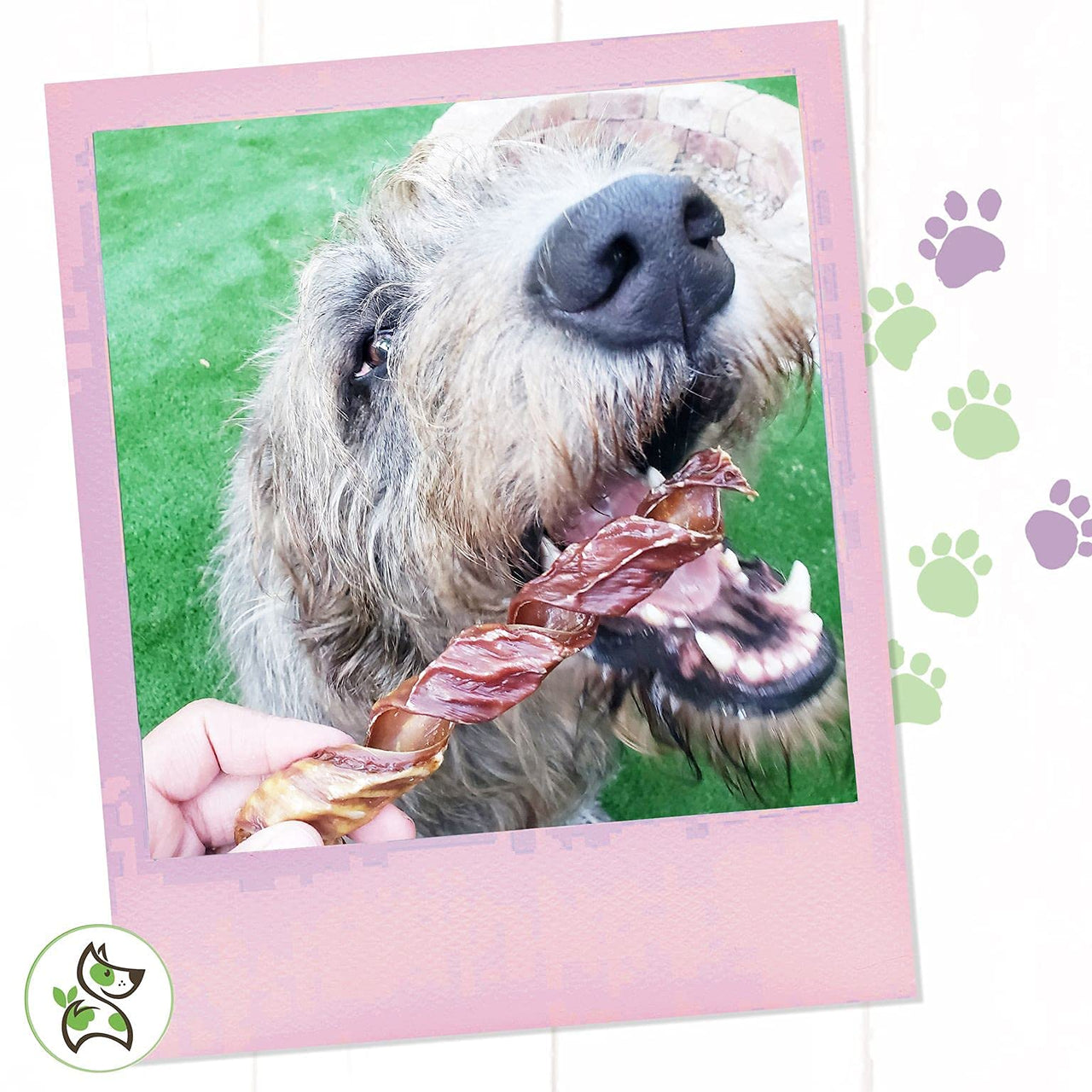 Nature Gnaws - Beef Jerky Springs for Dogs - Premium Natural Beef Gullet Sticks - Simple Single Ingredient Tasty Dog Chew Treats - Rawhide Free 7-8 Inch 6 Count (Pack of 1)