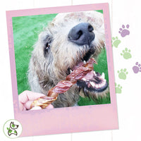 Nature Gnaws - Beef Jerky Springs for Dogs - Premium Natural Beef Gullet Sticks - Simple Single Ingredient Tasty Dog Chew Treats - Rawhide Free 7-8 Inch 6 Count (Pack of 1)