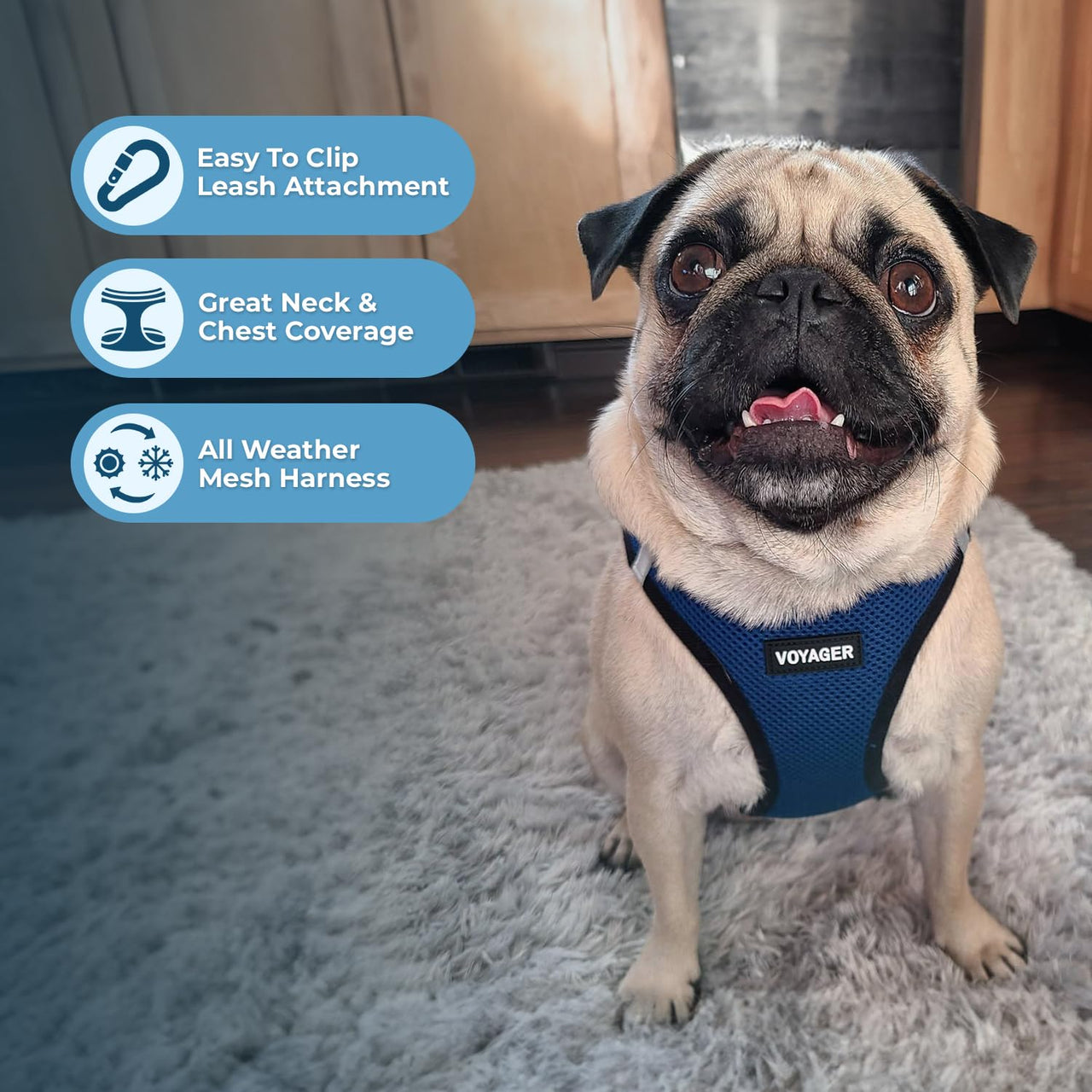 Voyager Step-in Air Dog Harness - All Weather Mesh Step in Vest Harness for Small and Medium Dogs and Cats by Best Pet Supplies - Harness (Blue/Black Trim), XS (Chest: 13-14.5") Harness (Blue/Black Trim) XS (Chest: 13 - 14.5")
