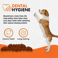 Canine Naturals Peanut Butter Chew - Rawhide Free and Dog Treats - Made from Real Peanut Butter - All-Natural and Easily Digestible - 40 Pack of 5 Inch Stick Chews 0.3525 Ounce (Pack of 40)