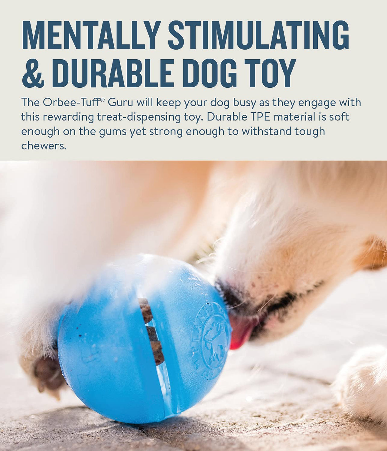 Planet Dog Orbee-Tuff Blue Guru Interactive Treat-Dispensing Puzzle Dog Toy