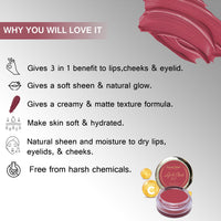 Seven Seas Lips & Cheek Tint Combo Pack of 2 | Matte Natural Blush for Women | Lip Tint with Vitamin E | Nourishing Cheek Tint (Blush Pink)