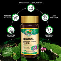 Zandu Punarnava Capsules, With Goodness of Natural Punarnava Extract known for Good Gut Health & for Healthy Appetite, Helps for Heart and Urinary Health - 60 Veg capsules