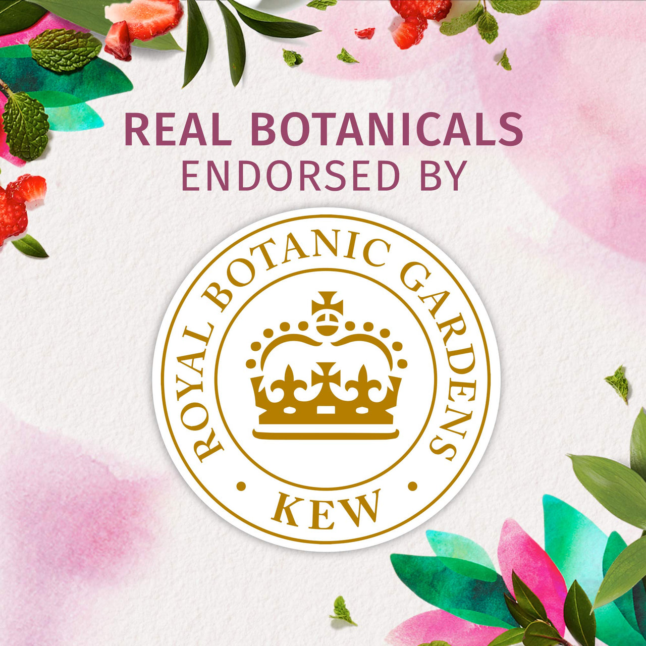 Herbal Essences bio:renew White Strawberry & Sweet Mint Shampoo, 400ml & Herbal Essences bio:renew Coconut Milk Shampoo, 400ml Combo