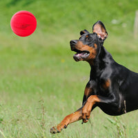 Nerf Dog Classic Ball Dog Toy with Interactive Squeaker, Lightweight, Durable and Water Resistant, 3.8 Inches, for Medium/Large Breeds, Two Pack, Green and Red 2-Pack