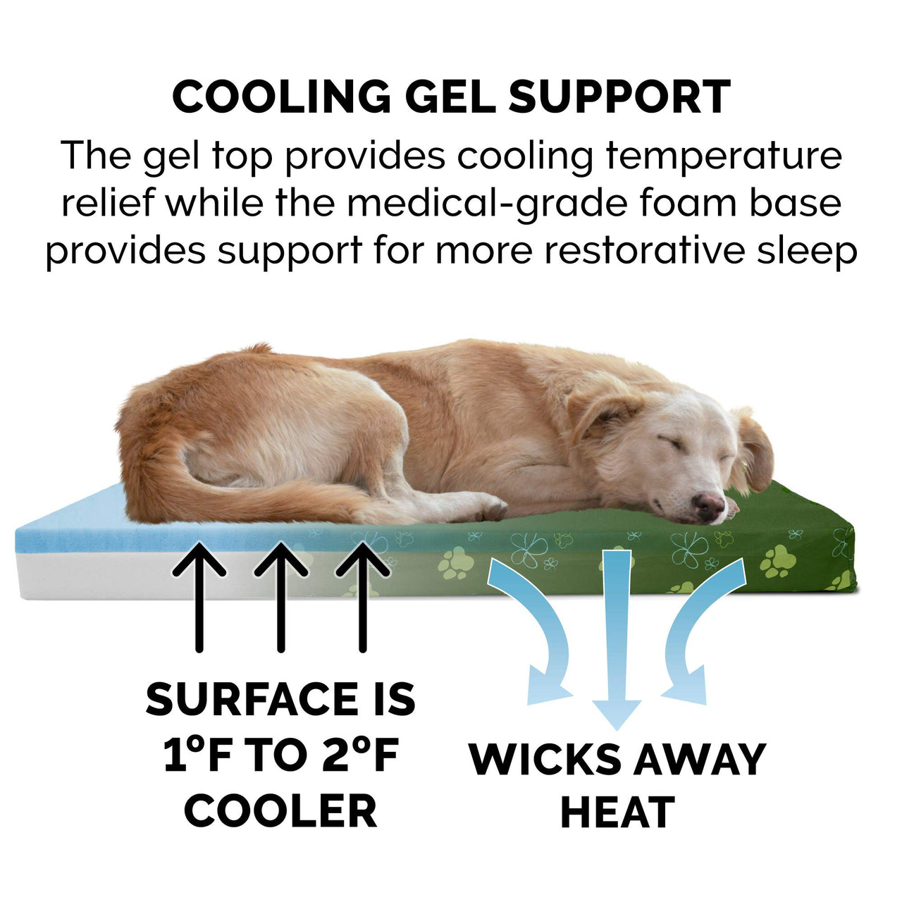 Furhaven Water-Resistant Cooling Gel Dog Bed for Small Dogs w/ Removable Washable Cover, For Dogs Up to 20 lbs - Indoor/Outdoor Garden Print Mattress - Jungle Green, Small Water-Resistant Garden Print (Jungle Green) 20.0"L x 15.0"W x 3.0"Th