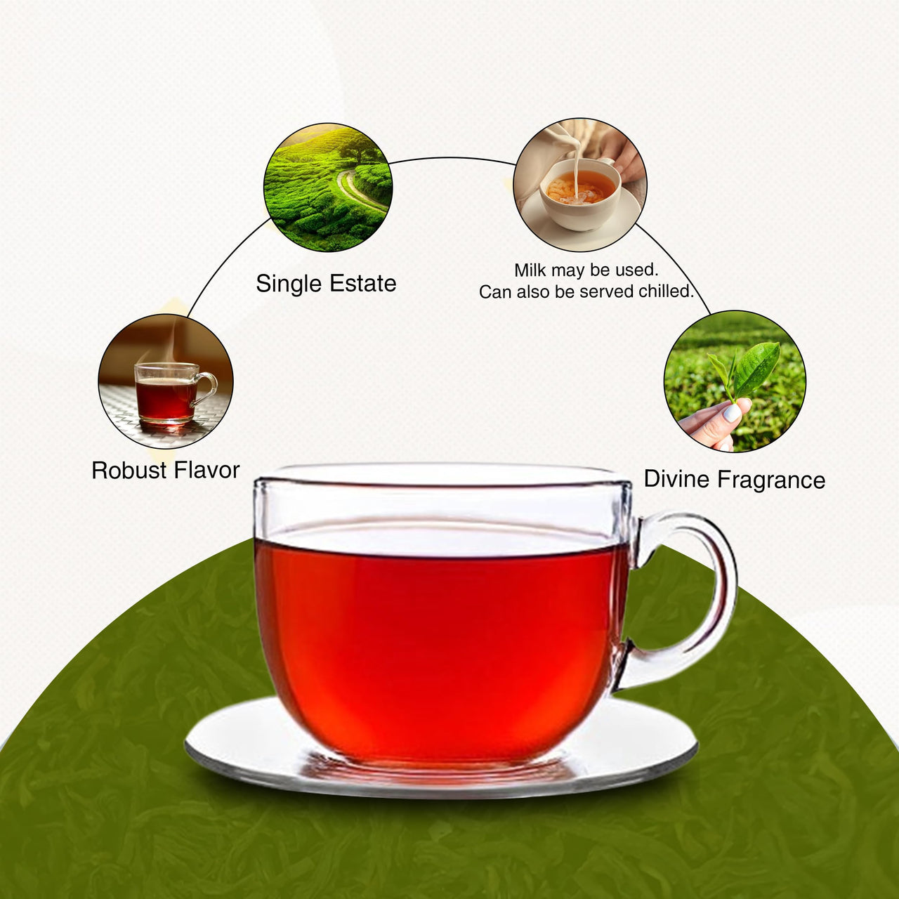Golden Tips Summer Exotica Second Flush Darjeeling Black Tea (8.81oz - 250 gm - 125 Cups)