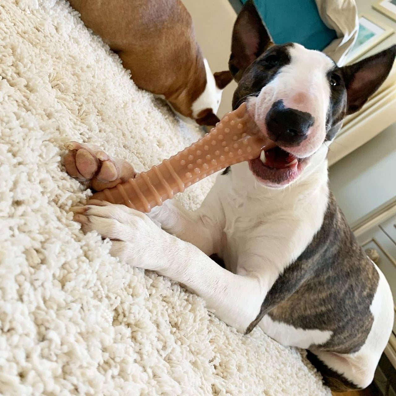 Nylabone Power Chew Dog Toy - Dog Toys for Aggressive Chewers - Indestructible Dog Toys for Aggressive Chewers Large Breed - For Extra Large Dogs - Bacon Flavor X-Large/Souper (1 Count) X-Large/Souper - 50+ lbs.