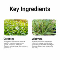 Multani Naturals Greentea & Aloevera Hair Conditioner || For Reducing Hair Fall | Improving Hair Texture | Strenghtening Hair Strands | Dermatologically Tested | SLS & paraben Free | Suitable For All Hair Types |250ml