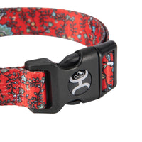Hooey Nomad Dog Collar, Durable Polyester Webbing Collar with Graphic-Inspired Prints, Western Floral, Medium