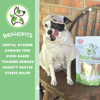 Nature Gnaws USA Beef Tendons for Dogs – Single Ingredient Natural Dental Chews - Long Lasting and Rawhide Free Dog Treats, 8.00 Ounce (Pack of 1)