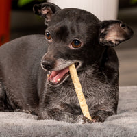 Pet Factory American Beefhide 5