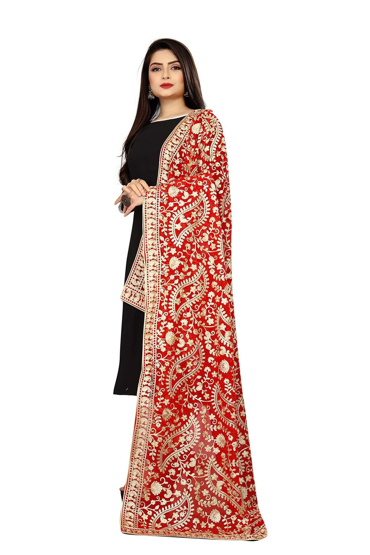 AKSHAR LLC Women's  Embroidered Chiffon Dupatta