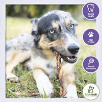 Nature Gnaws - Braided Twists for Dogs - Premium Natural Beef Dog Chew Treats - Combo of Bully Sticks and Beef Gullet - Long Lasting Training Reward 5 Count (Pack of 1)