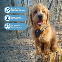 Voyager Step-In Air Dog Harness - All Weather Mesh Step in Vest Harness for Small and Medium Dogs by Best Pet Supplies - Gray (2-Tone), L Harness (Gray 2-Tone) L (Chest: 18 - 20.5