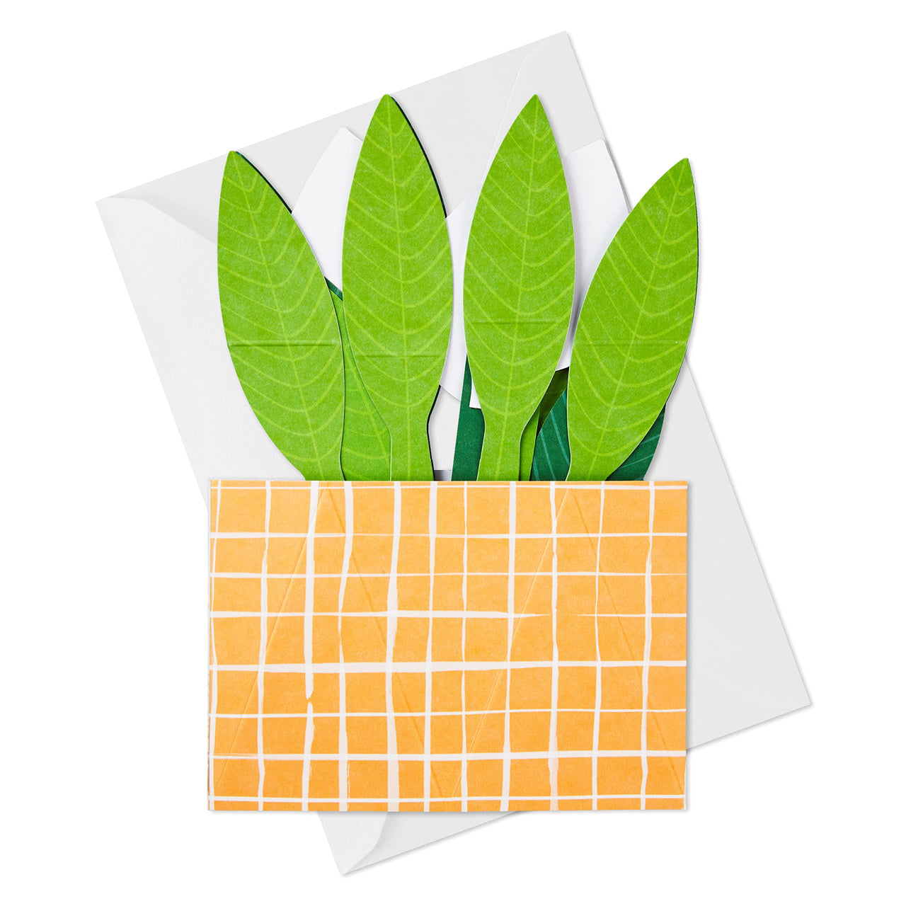 Hallmark Paper Wonder Pop Up Card (Potted Peace Lily) for Mother's  Day, Birthday, Administrative Professionals Day, Nurses Day, Thinking of You, Congrats, Get Well, or Any Occasion