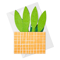 Hallmark Paper Wonder Pop Up Card (Potted Peace Lily) for Mother's  Day, Birthday, Administrative Professionals Day, Nurses Day, Thinking of You, Congrats, Get Well, or Any Occasion