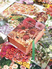 Floret Farm's  Cut Flower Garden: 100 Postcards (Floral Postcards, Botanical Gifts) Floret Farm Cut Flowers