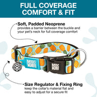 Max & Molly Soft Padded Neoprene Dog Collar w/Smart ID Gotcha! QR Pet Safety Tag, Durable, Waterproof, Anti-Stink, Machine Washable Collar for Dogs, Sweet Pineapples Pattern, L Sweet Pineapple L (15-25