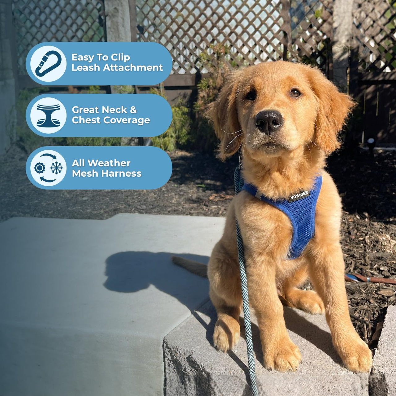 Voyager Step-in Air Dog Harness - All Weather Mesh Step in Vest Harness for Small and Medium Dogs and Cats by Best Pet Supplies - Harness (Royal Blue), L (Chest: 18-20.5") Harness (Royal Blue) L (Chest: 18 - 20.5")