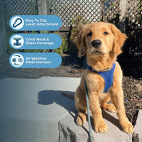 Voyager Step-in Air Dog Harness - All Weather Mesh Step in Vest Harness for Small and Medium Dogs and Cats by Best Pet Supplies - Harness (Royal Blue), L (Chest: 18-20.5