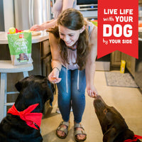 Cloud Star Wag More Bark Less Chicken & Sweet Potato Recipe Grain-Free Jerky Dog Treats 10 Ounce Bag, Model: 693804191113