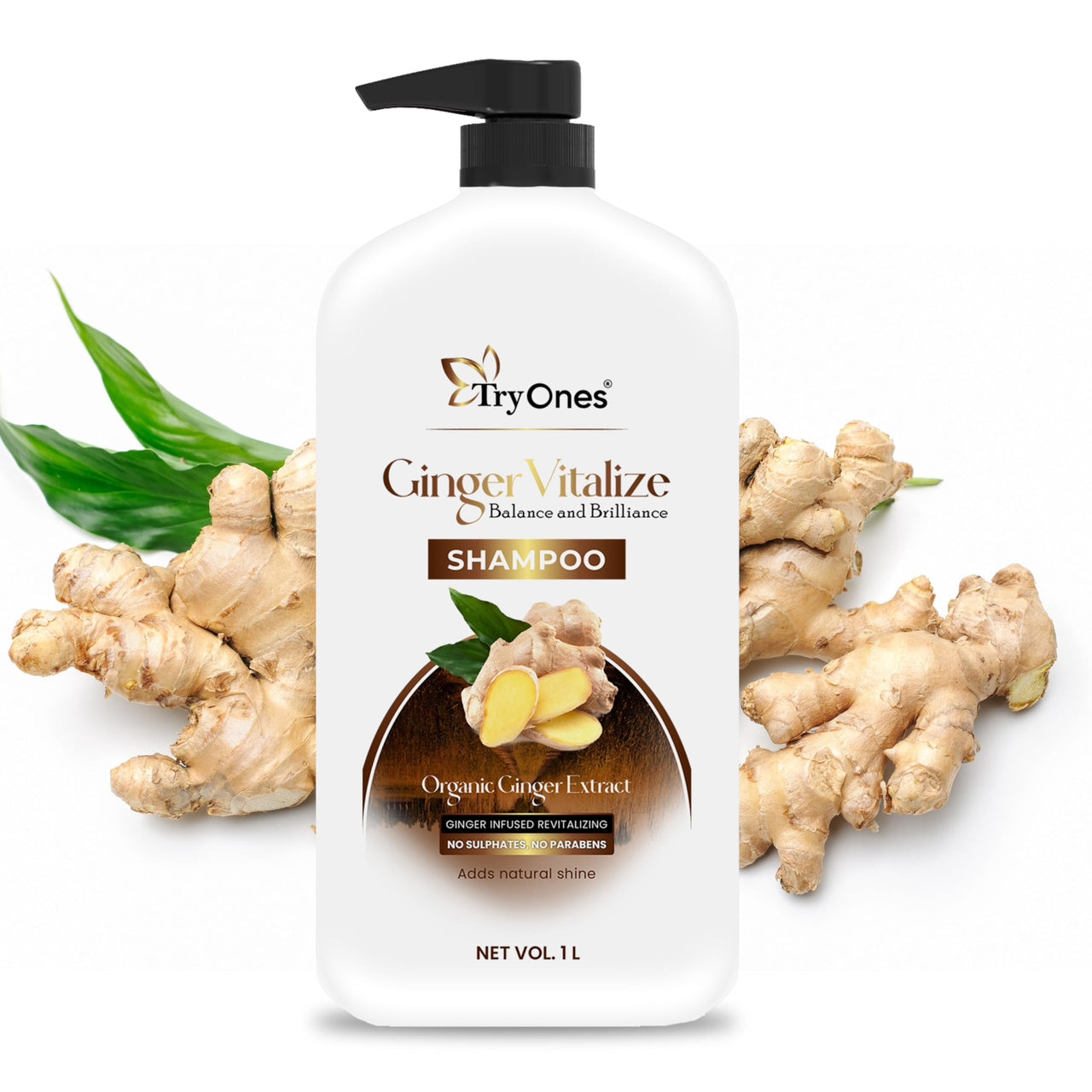 TryOnes Ginger Vitalize Shampoo | Balance and Brilliance With Pure Ginger Extracts | Dandruff & Hair Fall Control Treatment | Paraben Free_1000 ml