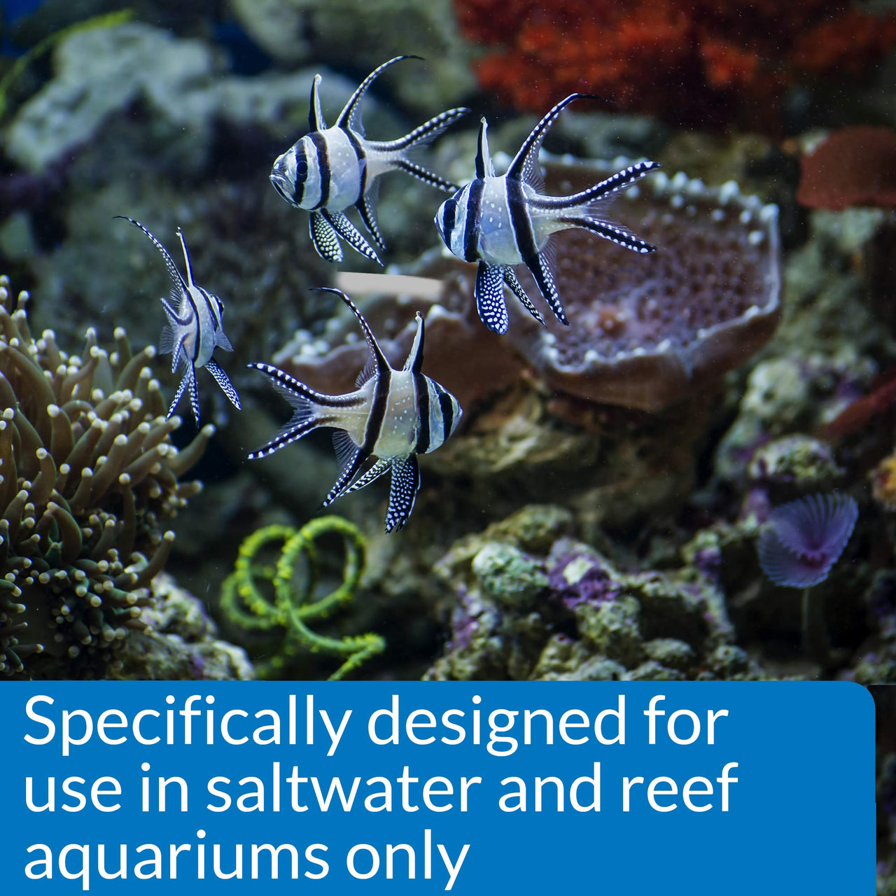 MARINE STRESS COAT Saltwater Aquarium Water Conditioner 16-Ounce Bottle (385D)