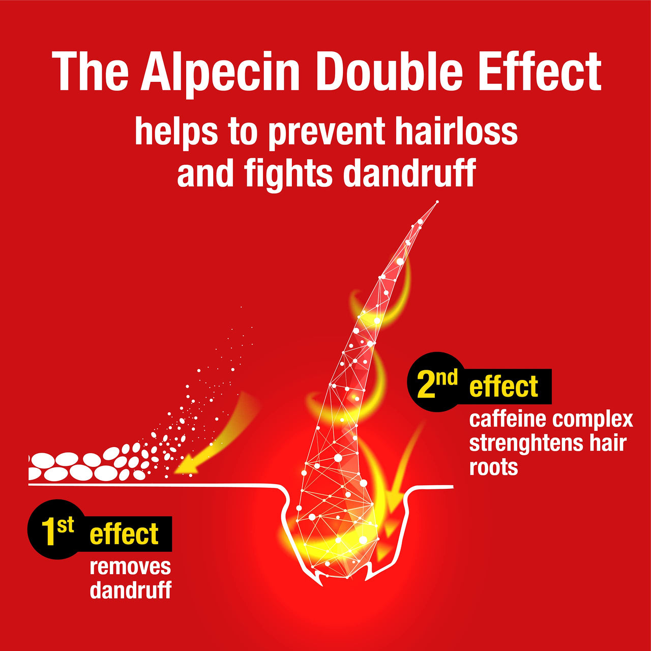 Alpecin Double Effect Shampoo 2x 200ml | Anti Dandruff and Natural Hair Growth Shampoo | Energizer for Strong Hair | Hair Care for Men