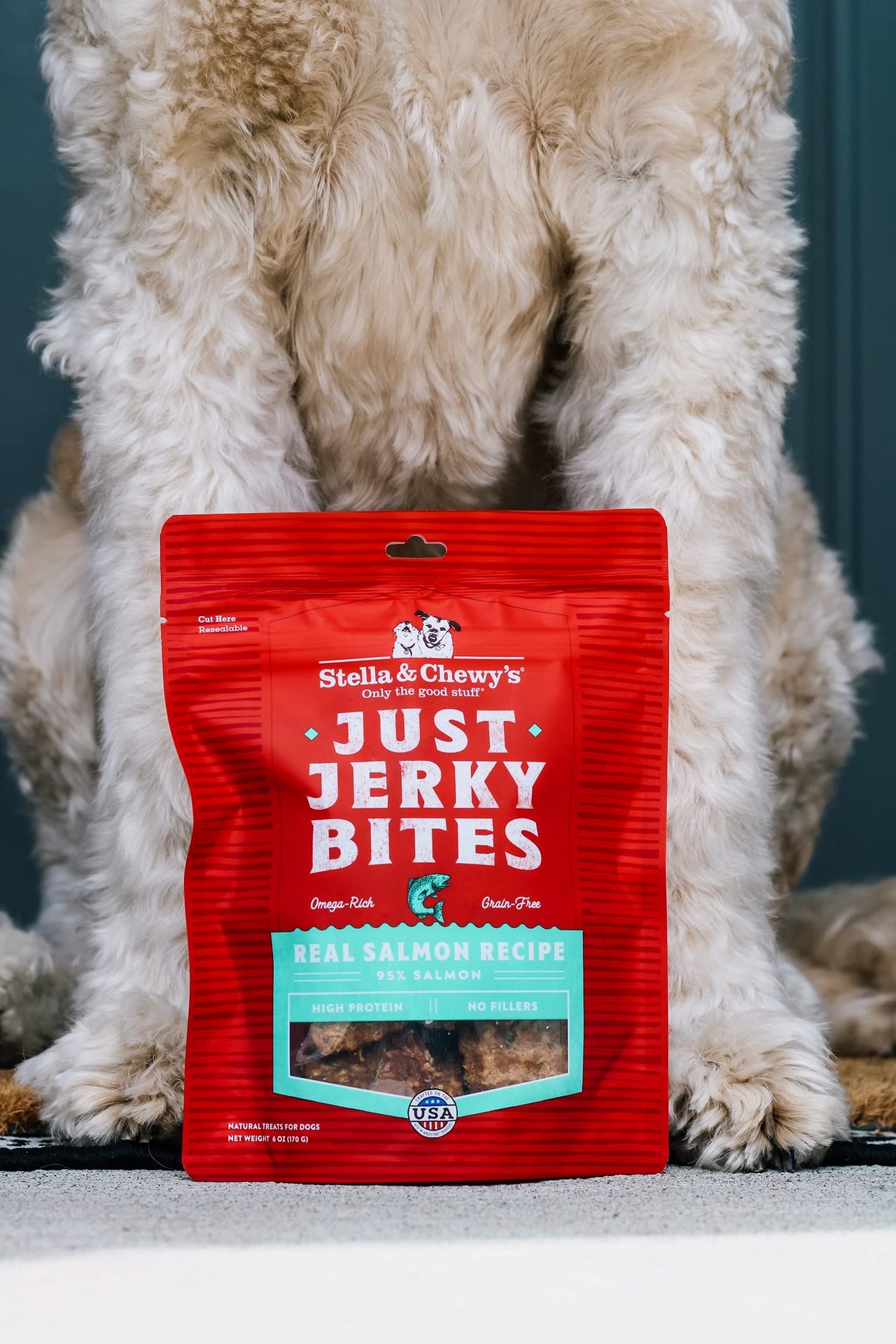 Stella & Chewy's  Just Jerky Bites Real Salmon Recipe Dog Treats, 6 oz. Bag 6 Ounce (Pack of 1)