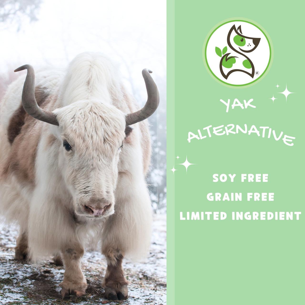 Nature Gnaws Cheese Bar Chews for Dogs  Natural Lasting Hard Chew Treats - Rawhide Free Dog Bones - Yak Alternative 4 Count