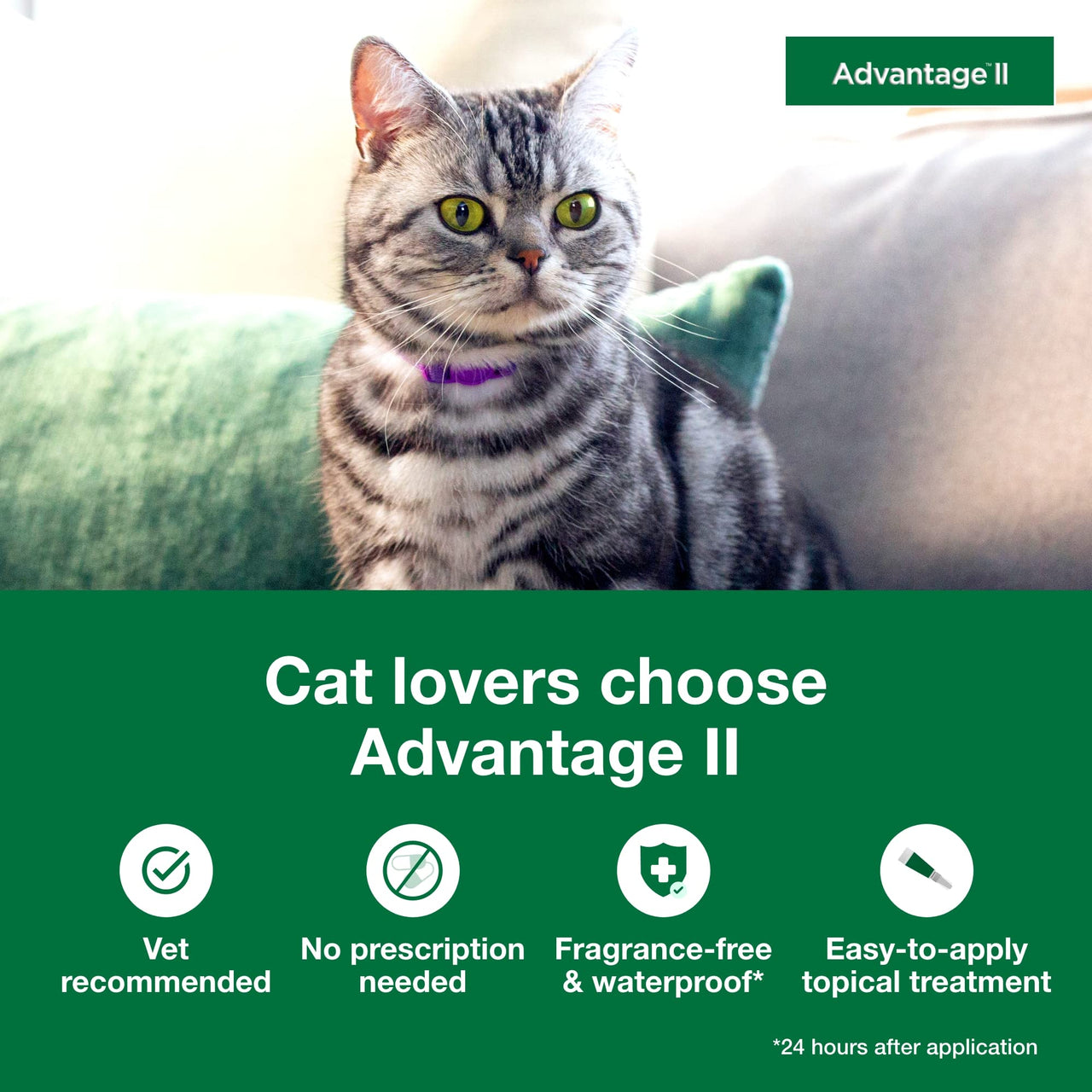 Advantage II Small Cat Vet-Recommended Flea Treatment & Prevention | Cats 5-9 lbs. | 2-Month Supply 2 Pack Small Cat only