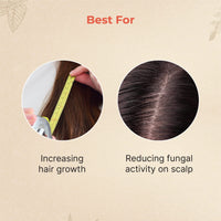 Vedix Customised Ayurvedic Hair Oil, Vikruth Amla Booster Oil With Amla And Sesame - 10ml