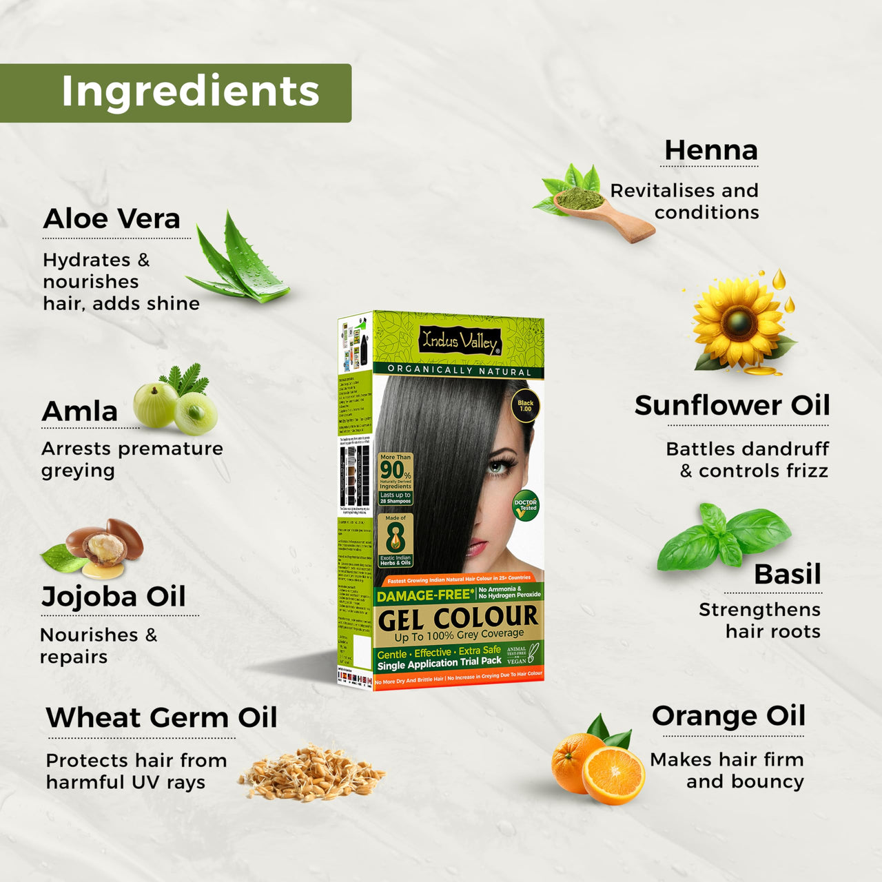 INDUS VALLEY Hair Color Trial Pack | Black With Hair Ultima Spa (175 ml)