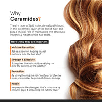 Minimalist SPF 30 Hair Serum for Frizzy Hair With Keratin, Argan Oil & Ceramides | Heat Protection, Smoothens & Protects From UV | Lightweight Leave-In for Women & Men | 50 ml