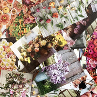 Floret Farm's  Cut Flower Garden: 100 Postcards (Floral Postcards, Botanical Gifts) Floret Farm Cut Flowers