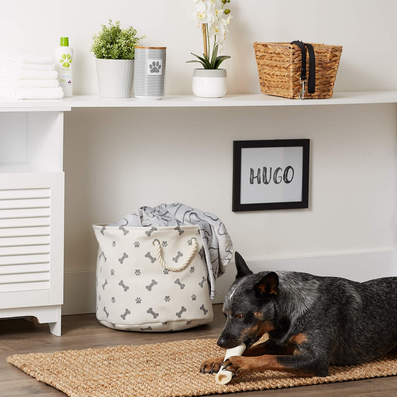 Bone Dry 5511 Pet Storage Collection Paw and Bone Print, Medium Round, Gray