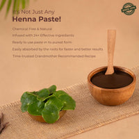 Indus Valley Bio Organic Herbal Henna Paste -150 g, with Herbal Indigo Powder -100 g