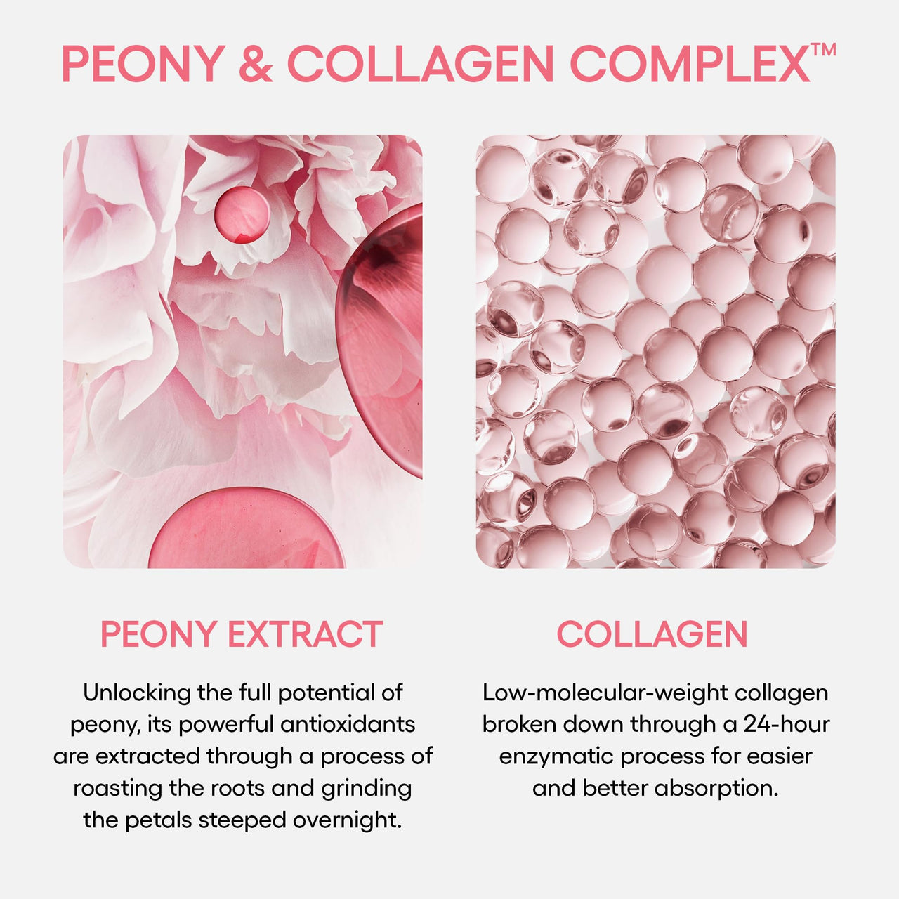 LANEIGE Bouncy&Firm Face Sleeping Mask with Collagen | Barrier Boosting Hydration with Peony & Collagen Complex | Gel Texture Collagen Cream | Night Cream for Glowing Skin| Korean Skincare |60ml