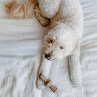 Real Bacon Medium 3-Pack Durable Dog Chew Toys for Aggressive Chewers, Made in USA – Wishbone, Zaggler, Stick Wishbone, Stick, Zaggler Medium - 3-Pack Pet Toy