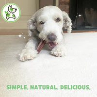 Nature Gnaws Cheese Bar Chews for Dogs  Natural Lasting Hard Chew Treats - Rawhide Free Dog Bones - Yak Alternative 4 Count