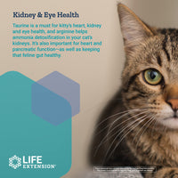 Life Extension Cat Mix  For Heart, Kidney & Pancreatic Function + Gut Health with Vitamins & Essential Nutrients - Formula For Kitty - Gluten-Free, Non-GMO  Net Wt.100 Grams (85 Servings)