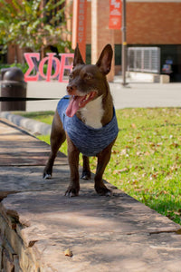 Gooby Zip Up Fleece Dog Sweater - Gray Wash, Medium - Warm Pullover Fleece Step-in Dog Jacket with Dual D Ring Leash - Winter Small Dog Sweater - Dog Clothes for Small Dogs Boy and Medium Dogs