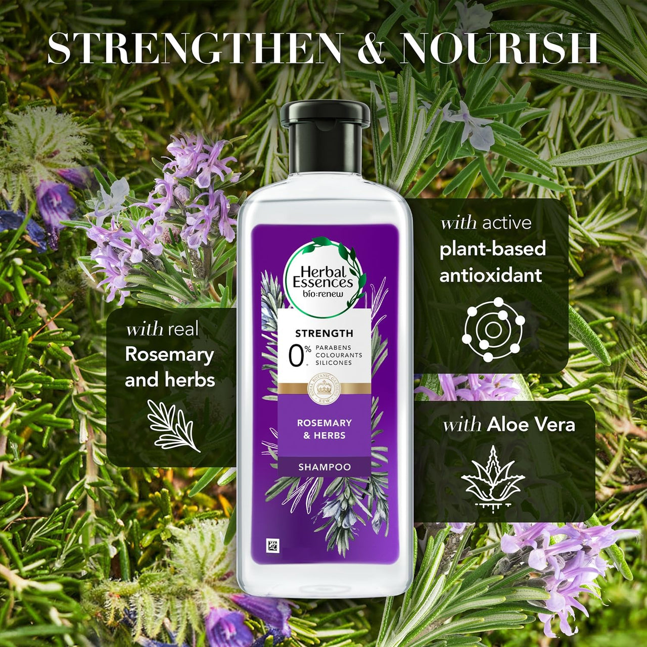 Herbal Essences bio:renew Rosemary and Herbs SHAMPOO, 400ml, No Parabens No Colorants